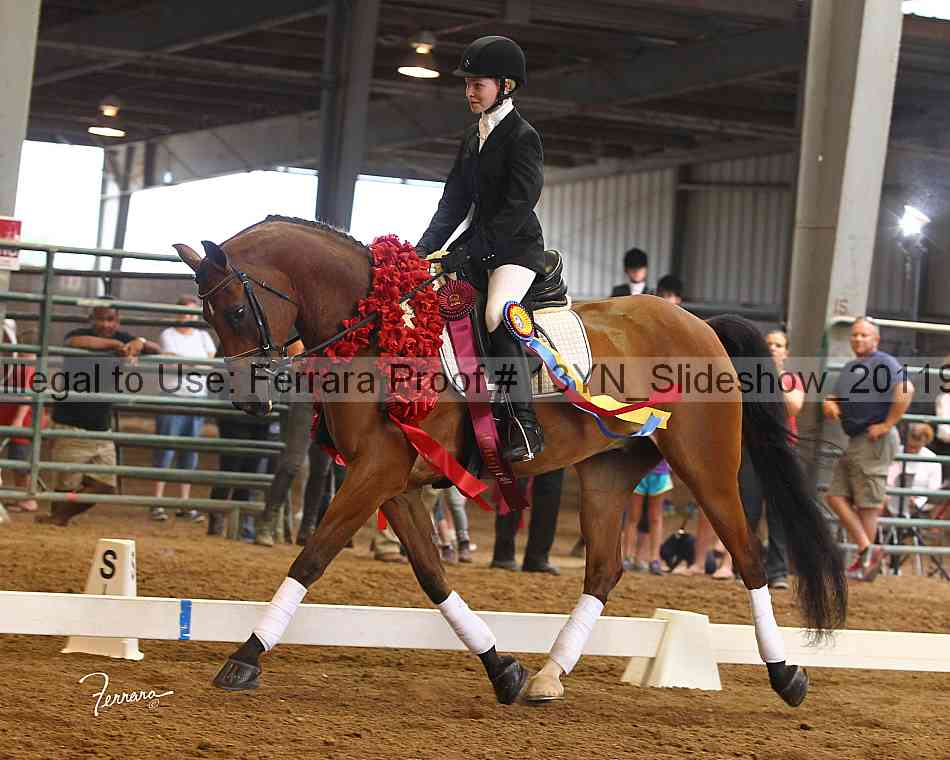 Proof 13yn_slideshow_20119