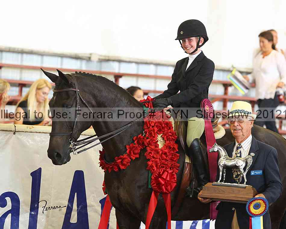 Proof 13yn_slideshow_20121