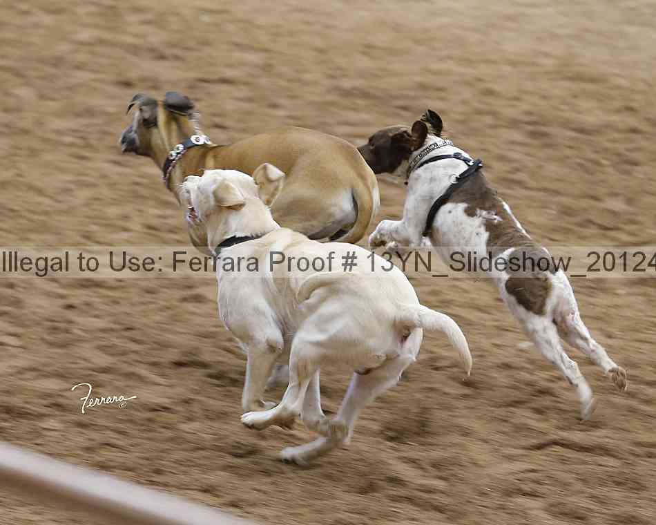 Proof 13yn_slideshow_20124