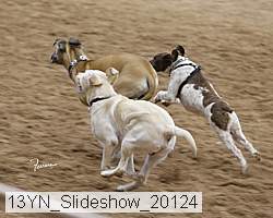 13yn_slideshow_20124 proof
