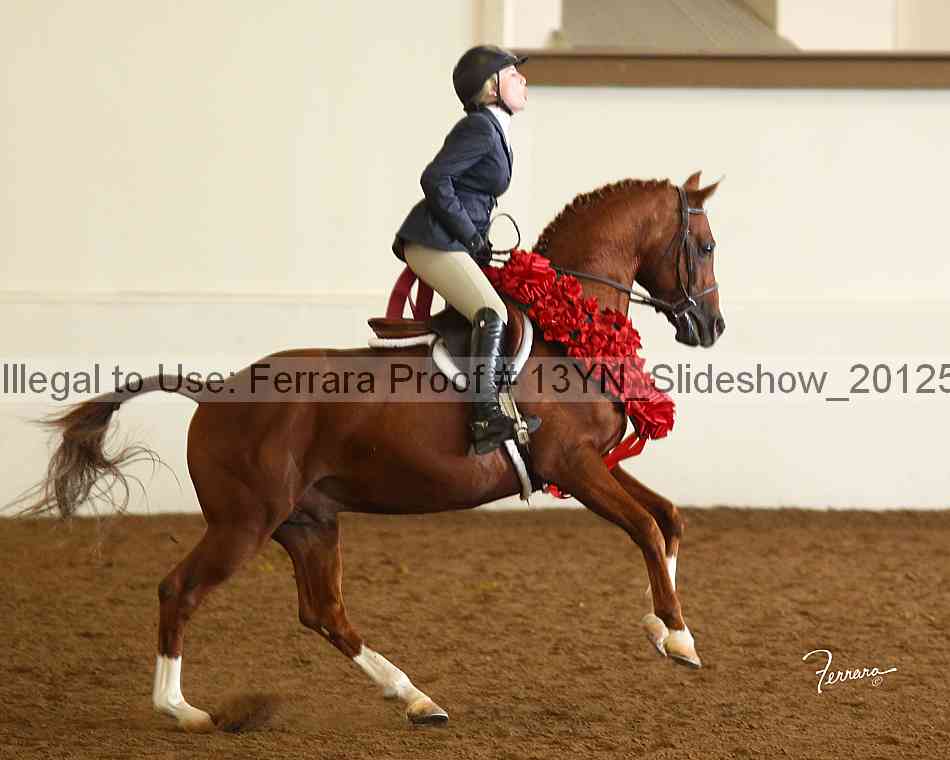 Proof 13yn_slideshow_20125