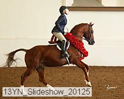 13yn_slideshow_20125 proof