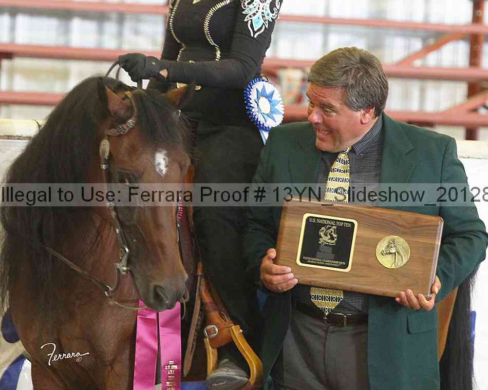 Proof 13yn_slideshow_20128