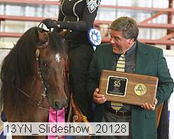 13yn_slideshow_20128 proof