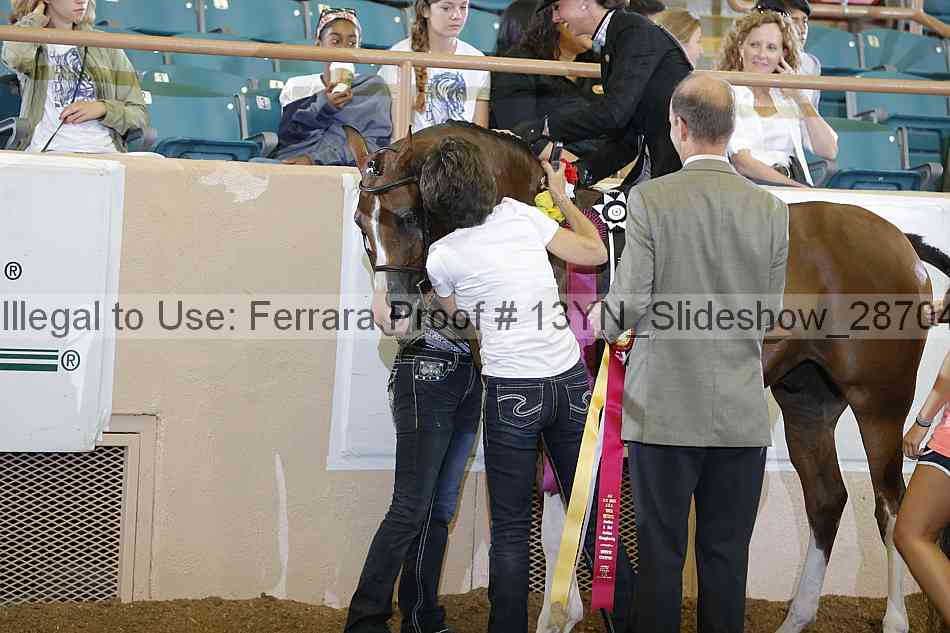 Proof 13yn_slideshow_28704
