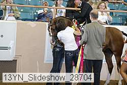 13yn_slideshow_28704 proof