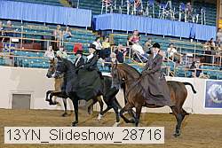 13yn_slideshow_28716 proof