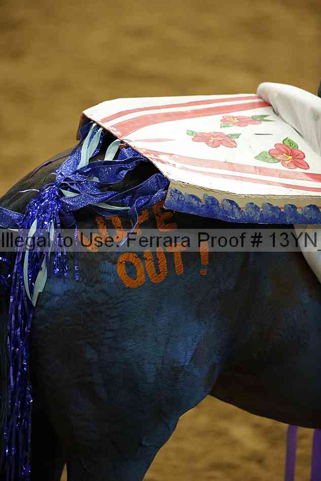 Proof 13yn_slideshow_28735