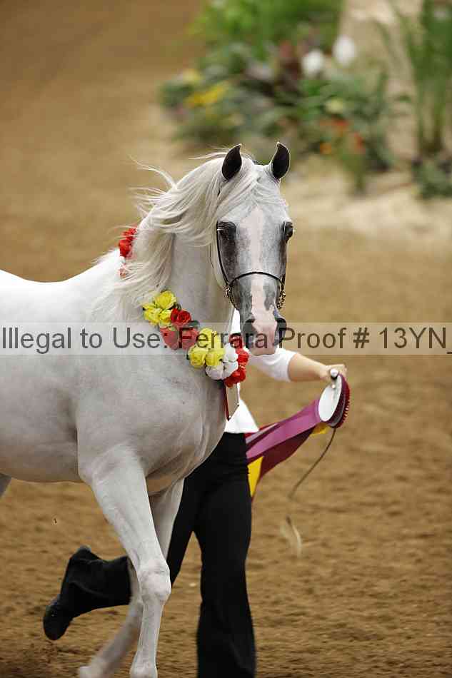 Proof 13yn_slideshow_28736