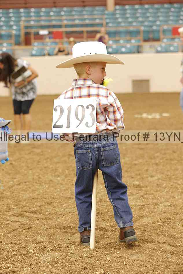 Proof 13yn_08413