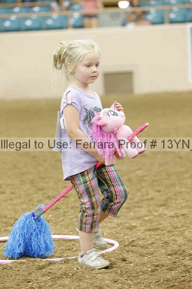 Proof 13yn_08415