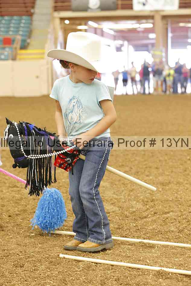 Proof 13yn_08419
