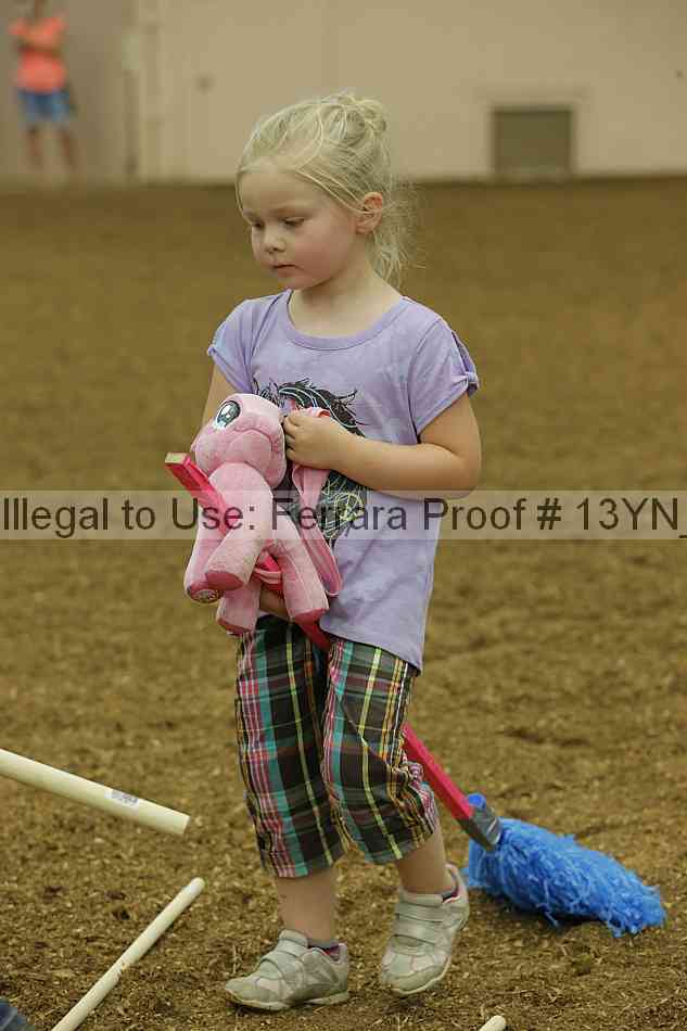 Proof 13yn_08438