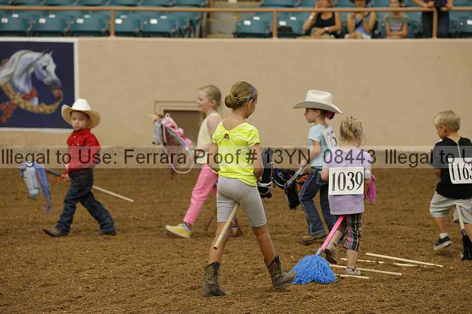 Proof 13yn_08443