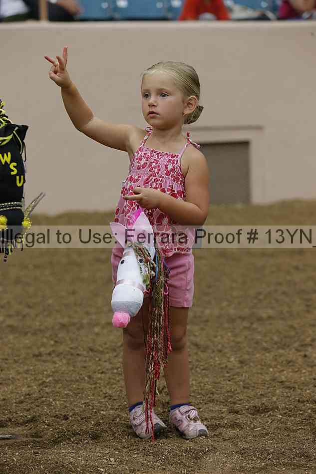 Proof 13yn_08458