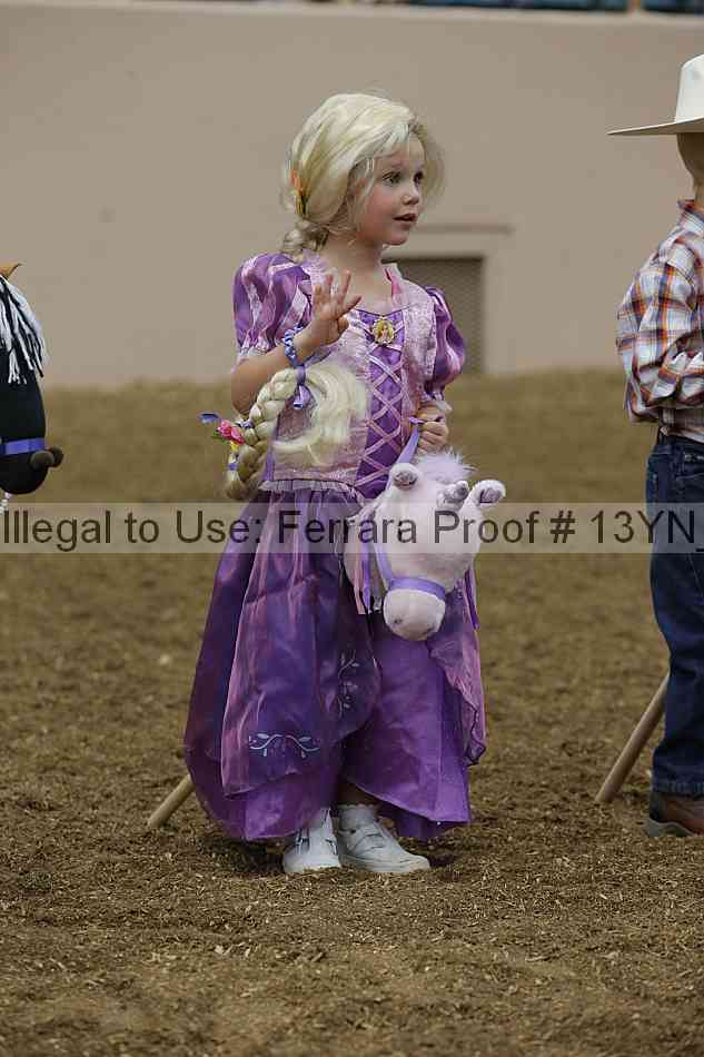 Proof 13yn_08461