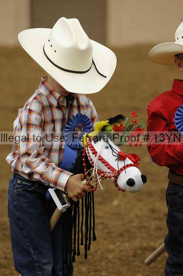 Proof 13yn_08466