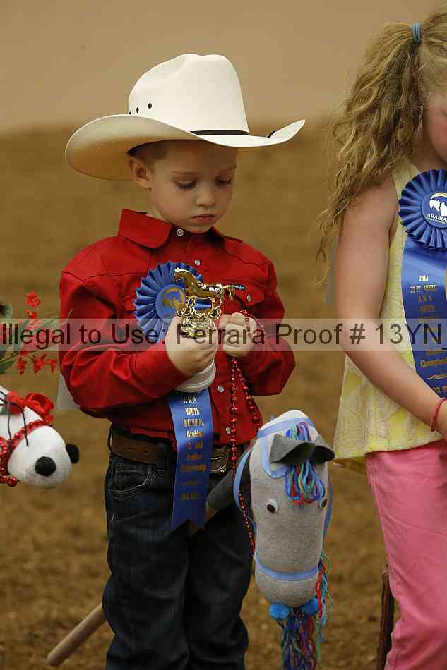 Proof 13yn_08467