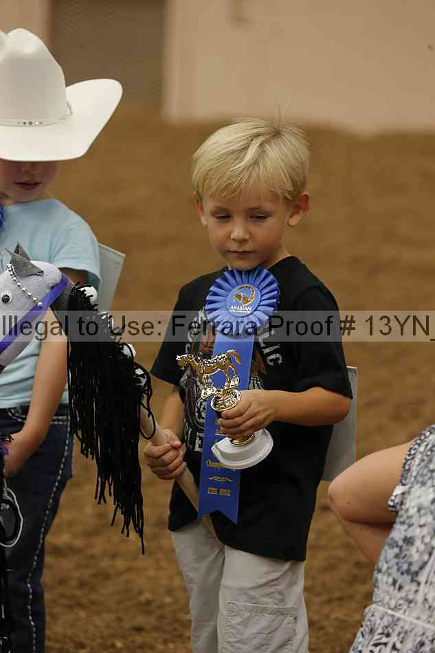 Proof 13yn_08469