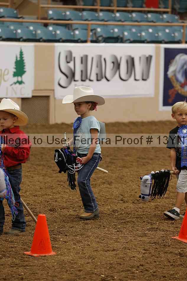 Proof 13yn_08474