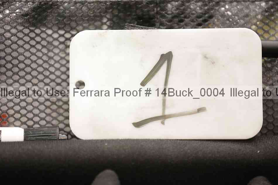 Proof 14buck_0004