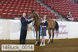 14buck_0014 proof