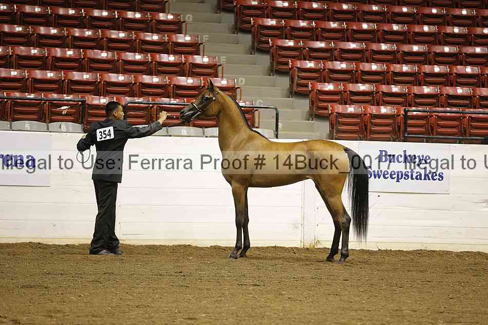 Proof 14buck_0017
