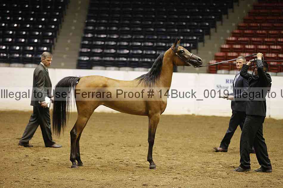 Proof 14buck_0019