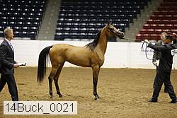 14buck_0021 proof