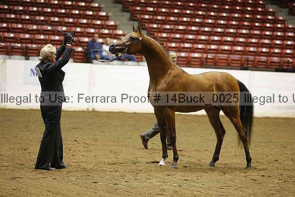 Proof 14buck_0025