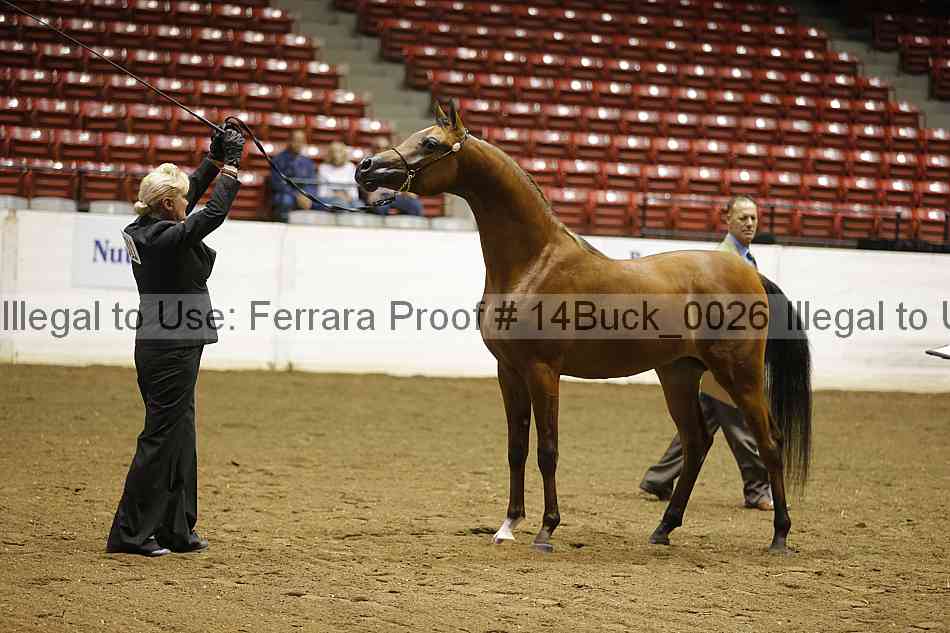Proof 14buck_0026