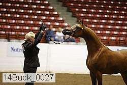 14buck_0027 proof