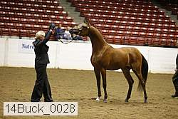 14buck_0028 proof
