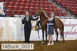 14buck_0031 proof