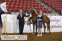 14buck_0032 proof