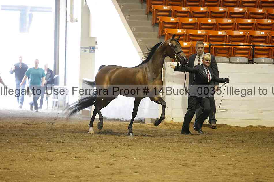 Proof 14buck_0035