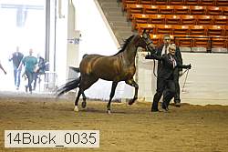 14buck_0035 proof