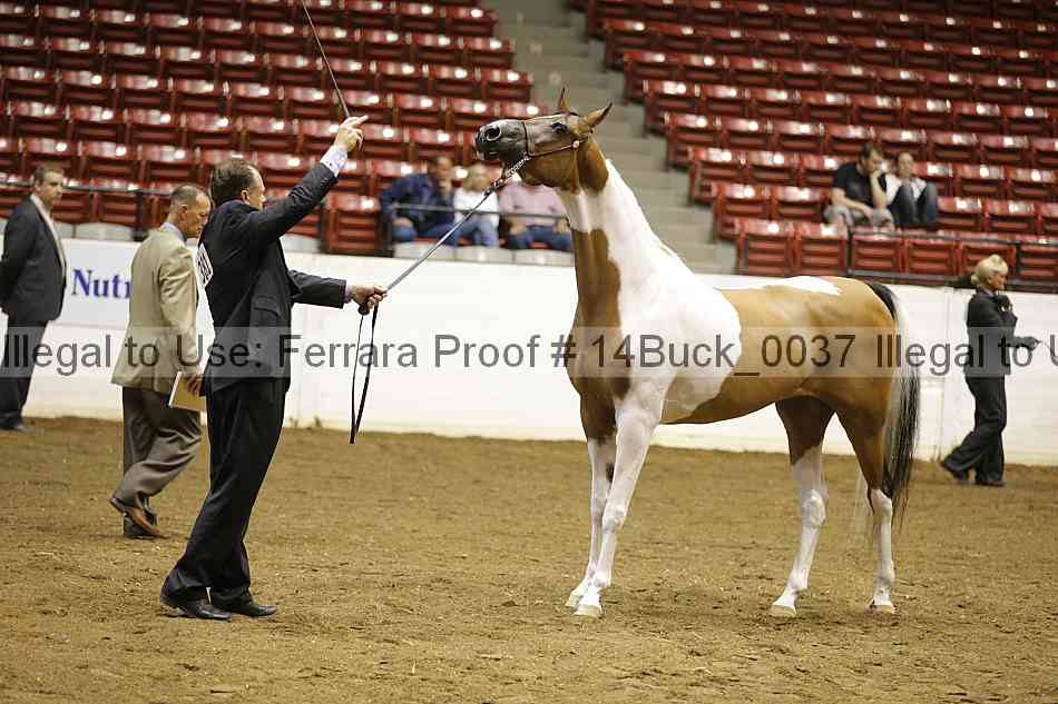 Proof 14buck_0037