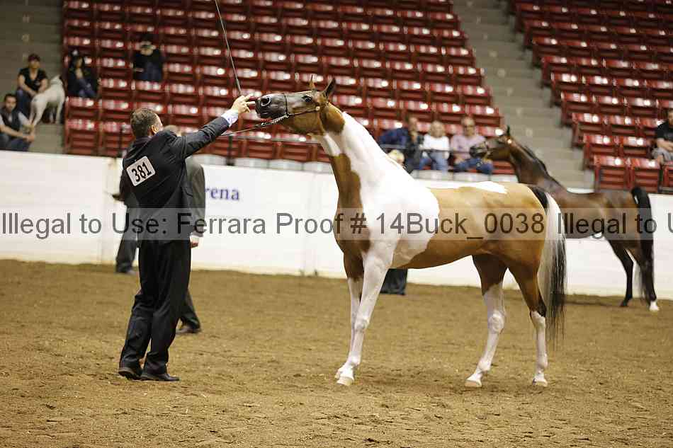 Proof 14buck_0038