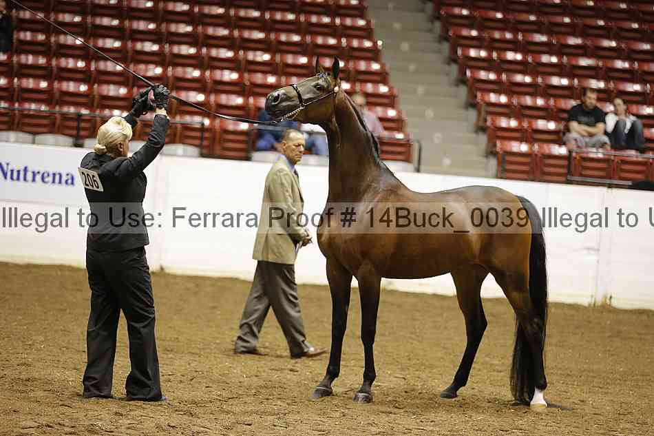 Proof 14buck_0039