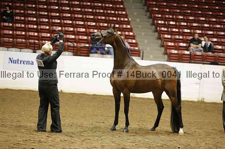 Proof 14buck_0041