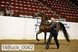 14buck_0042 proof
