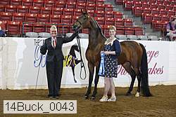 14buck_0043 proof