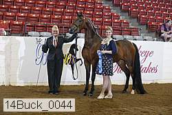 14buck_0044 proof