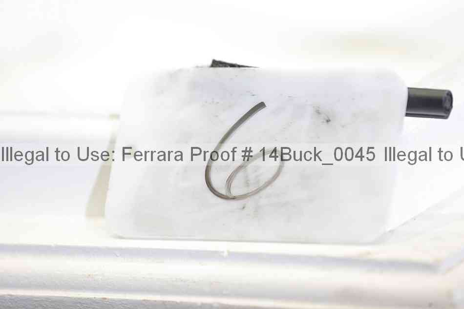 Proof 14buck_0045
