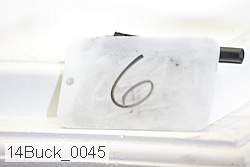 14buck_0045 proof
