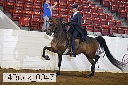 14buck_0047 proof
