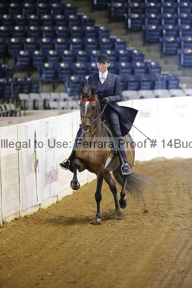 Proof 14buck_0048