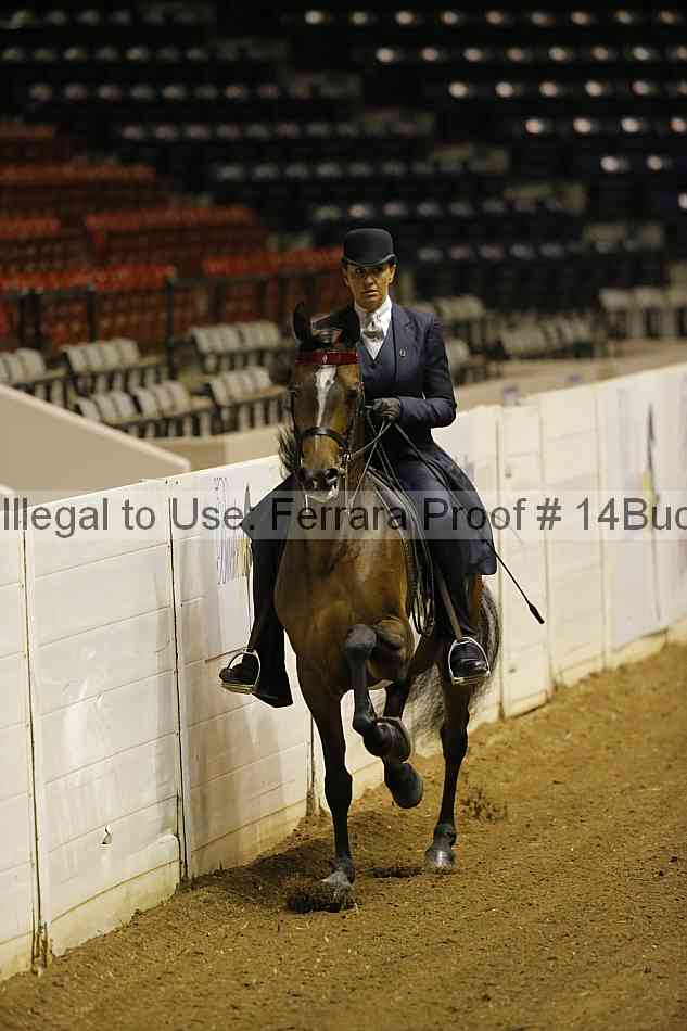 Proof 14buck_0049