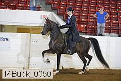 14buck_0050 proof